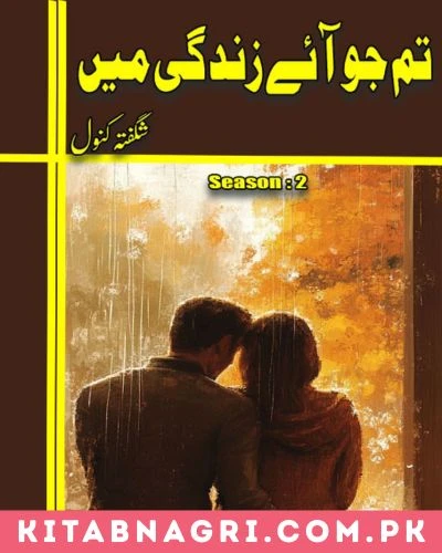 Tum Jo Aye Zindagi Main Season 2