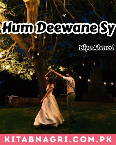 Hum Deewane Sy