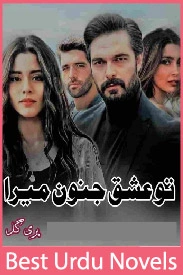 Tu Ishq o Junoon Mera Novel By Pari Gull