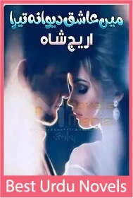 Main Aashiq Deewana Tera Novel By Areej Shah