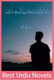 Meri Tanhai Meri Jaan Pe Bani Hai Saiyan Novel By Areej Shah